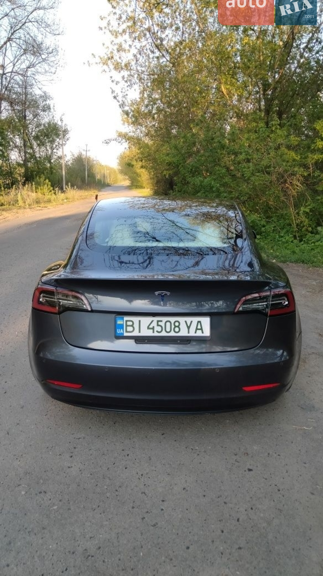 2021 Tesla Model 3 - мініатюра 4