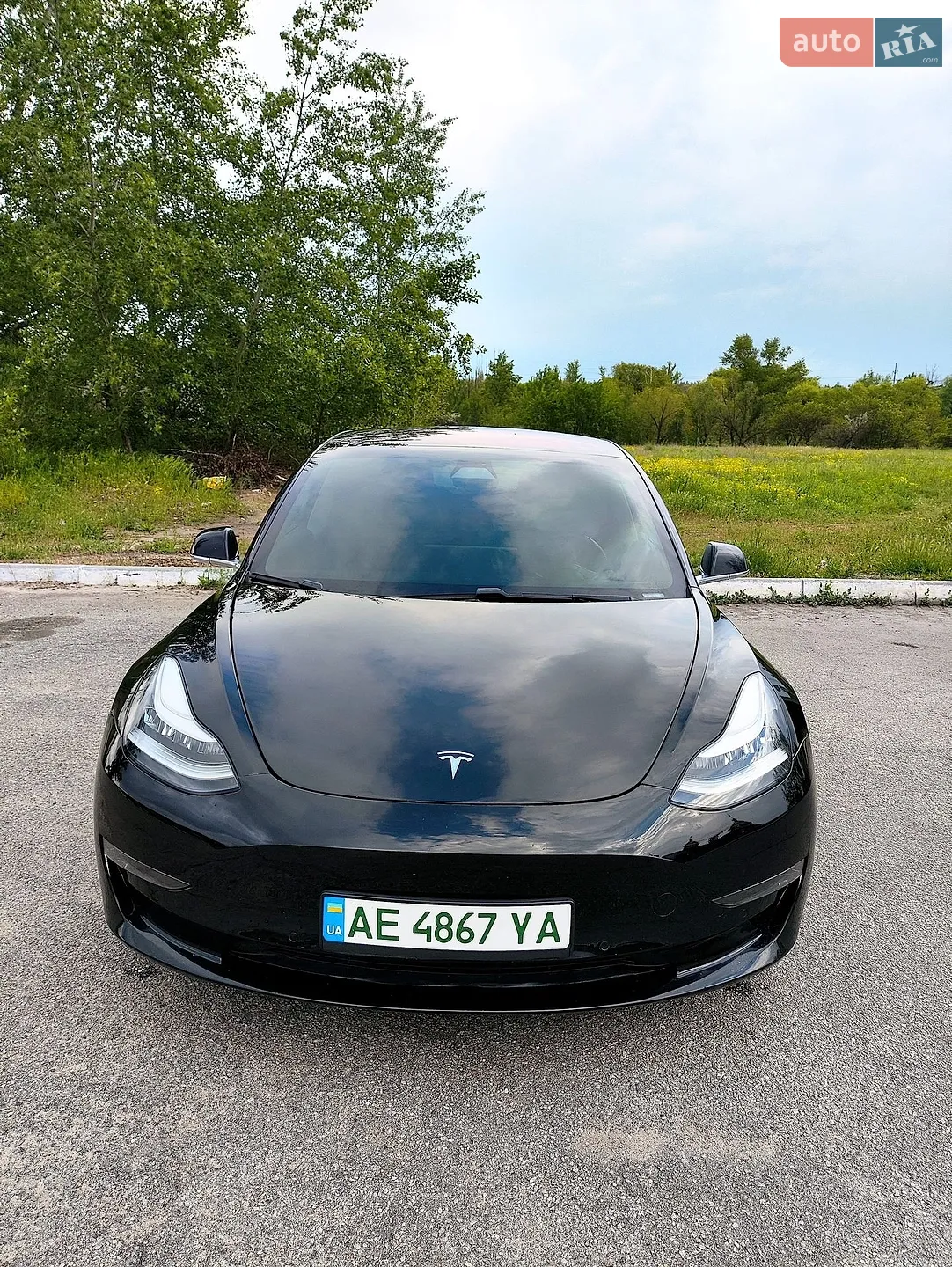 2019 Tesla Model 3 - мініатюра 3