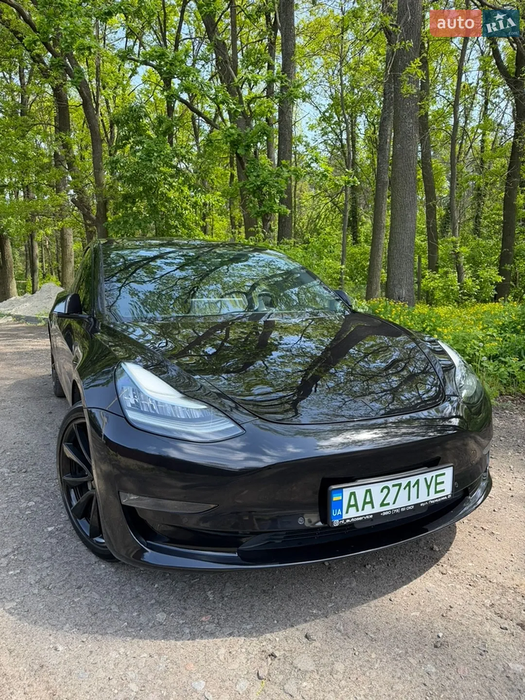 2018 Tesla Model 3 - мініатюра 2