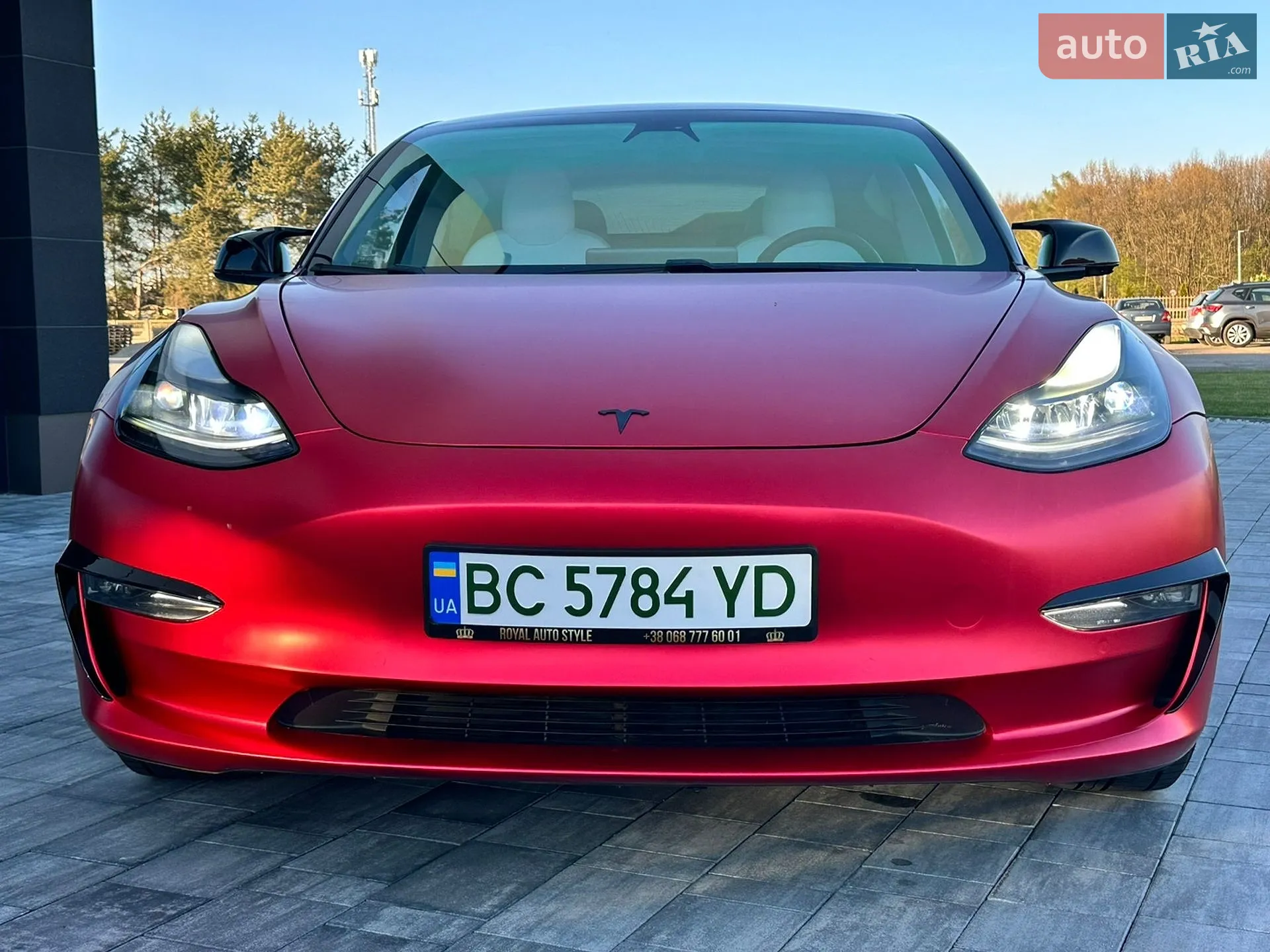 2019 Tesla Model 3 - мініатюра 28