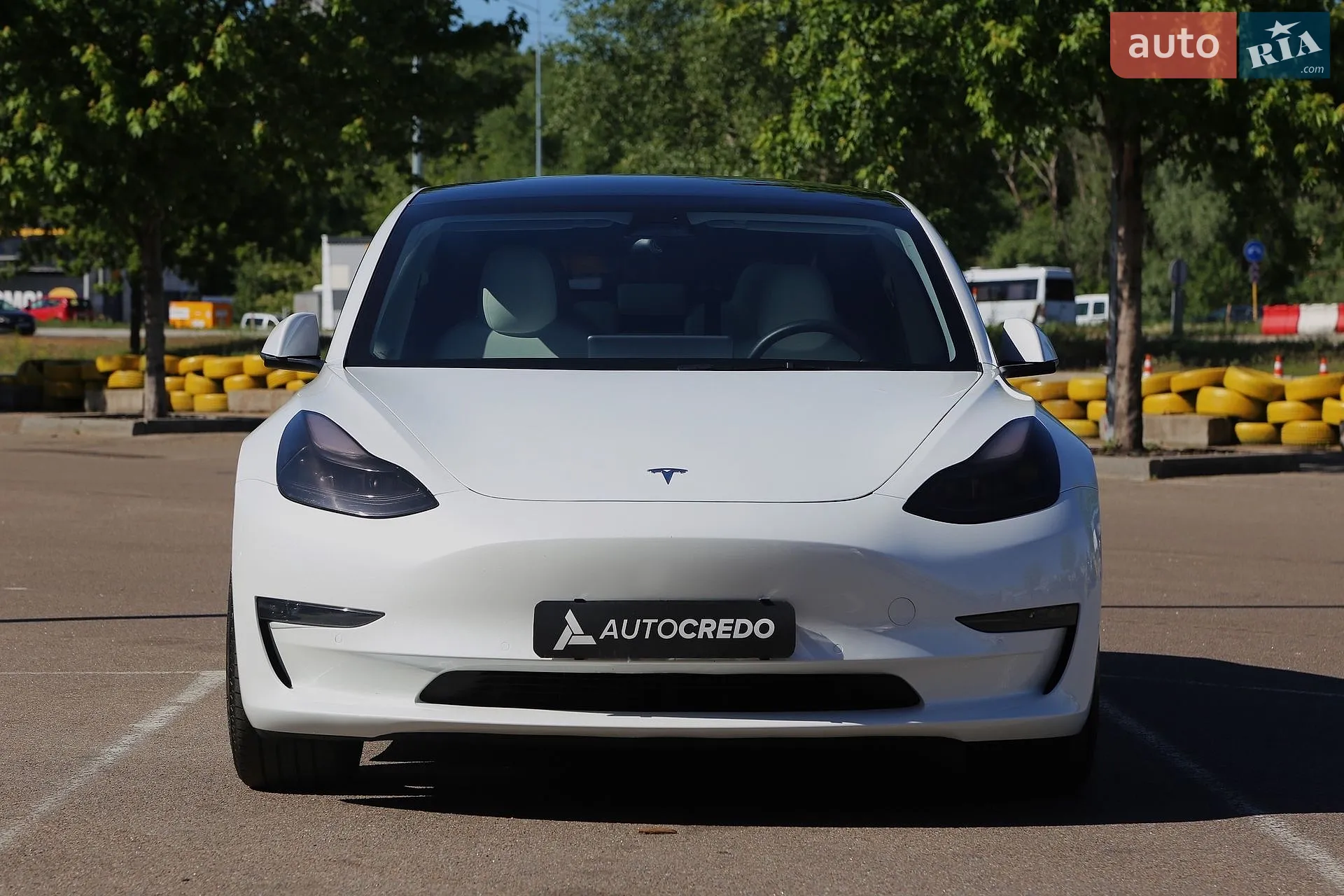 2022 Tesla Model 3 - мініатюра 2