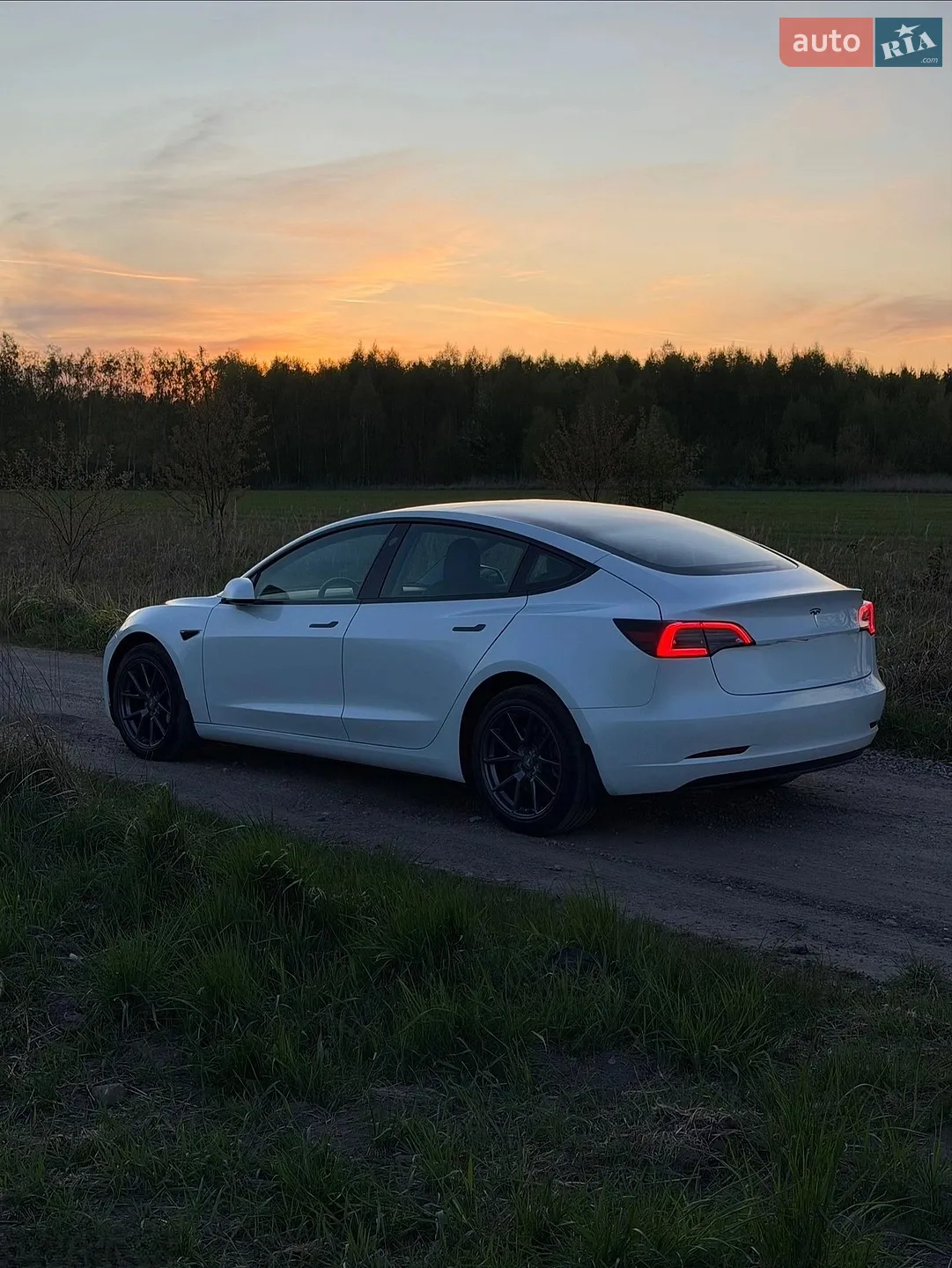 2022 Tesla Model 3 - мініатюра 5