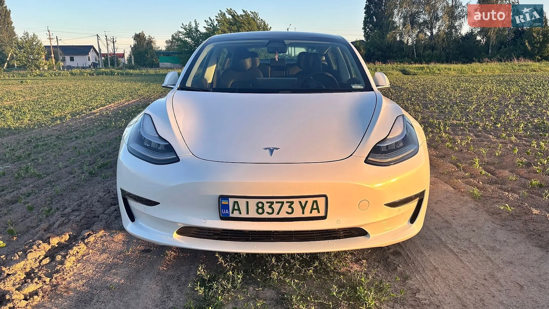 2020 Tesla Model 3 - мініатюра 4