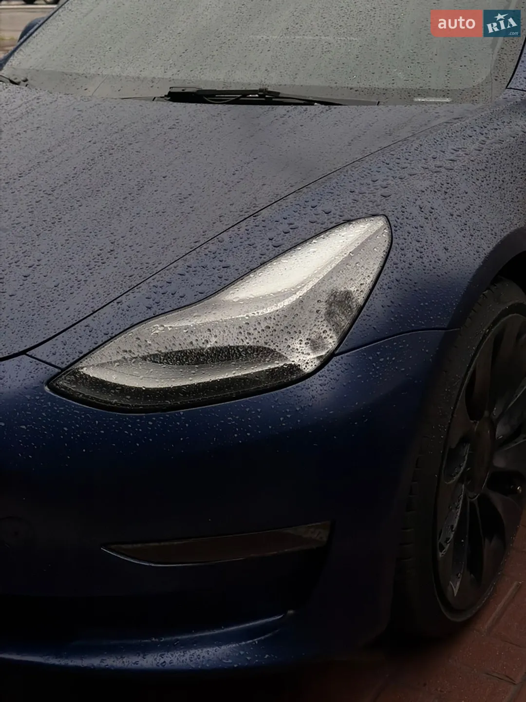 2022 Tesla Model 3 - мініатюра 39