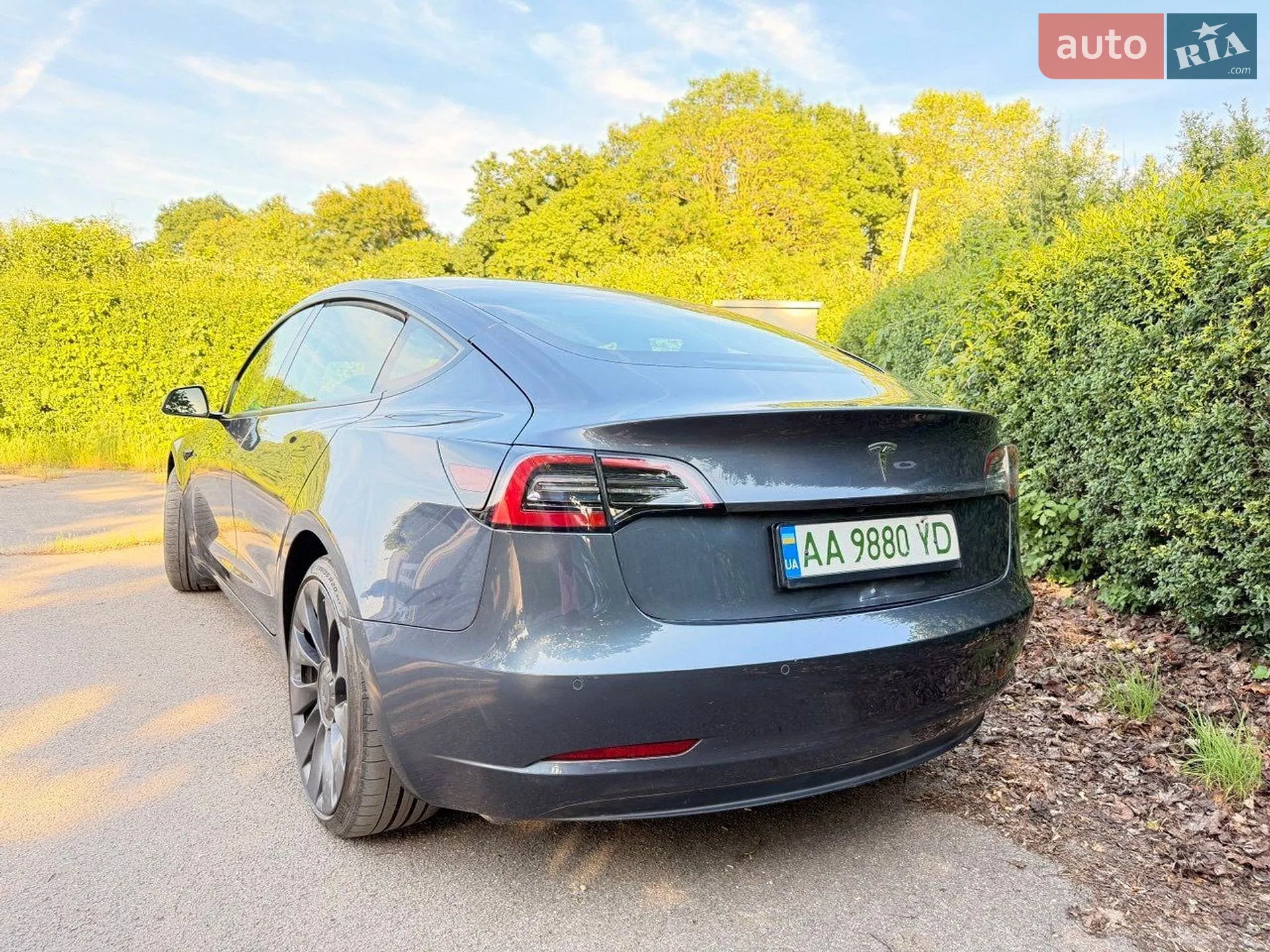 2021 Tesla Model 3 - фото 1