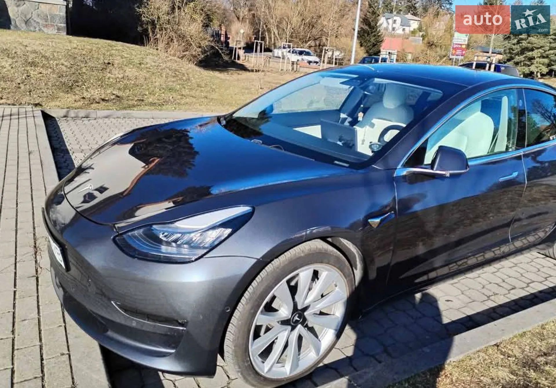 2019 Tesla Model 3 - мініатюра 2