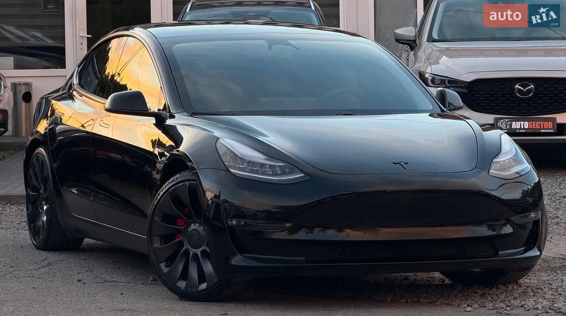 2020 Tesla Model 3 - мініатюра 9