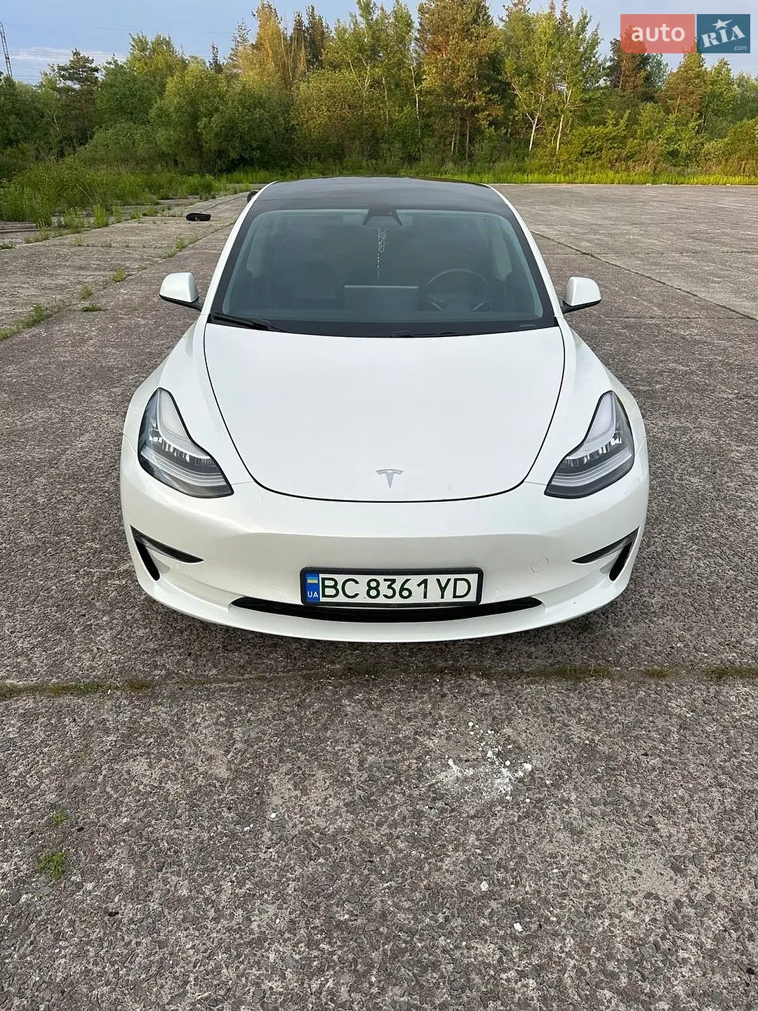 2019 Tesla Model 3 - фото 1