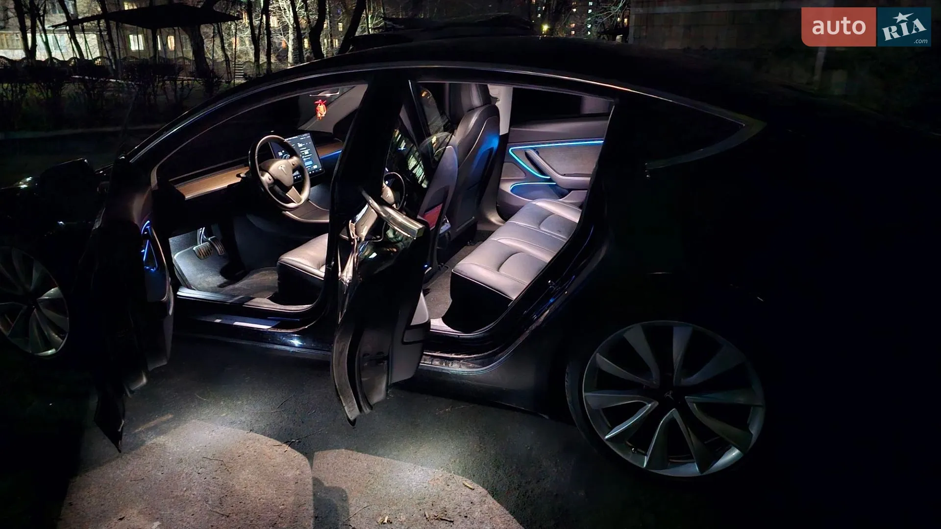 2019 Tesla Model 3 - мініатюра 8