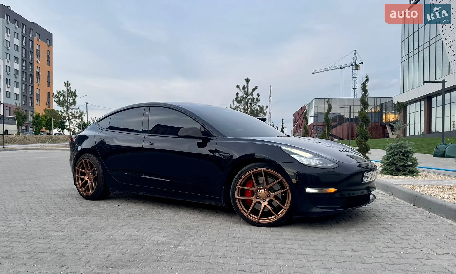 2018 Tesla Model 3 - мініатюра 2