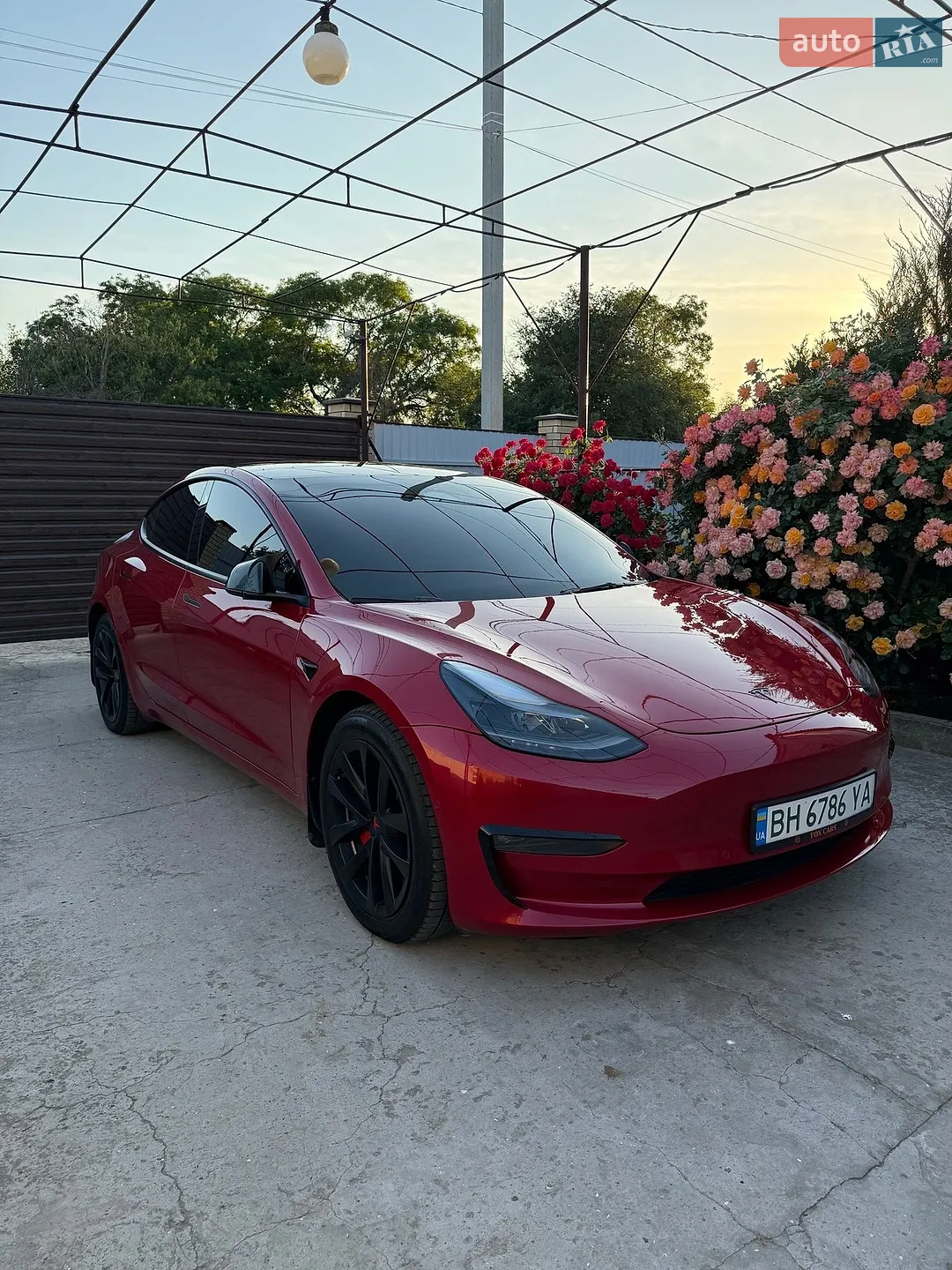 2022 Tesla Model 3 - фото 1