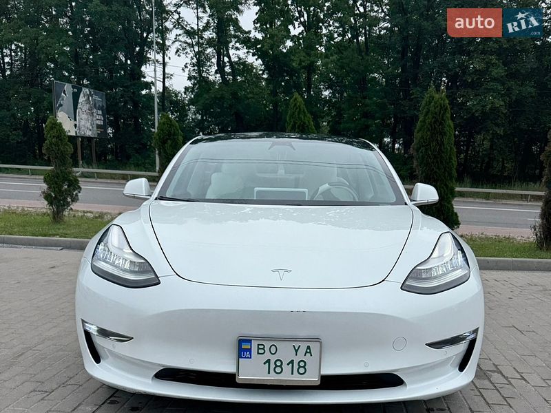 2019 Tesla Model-3, VIN 5YJ3E1EB0LF622134:plate — фото 1 (autoria)