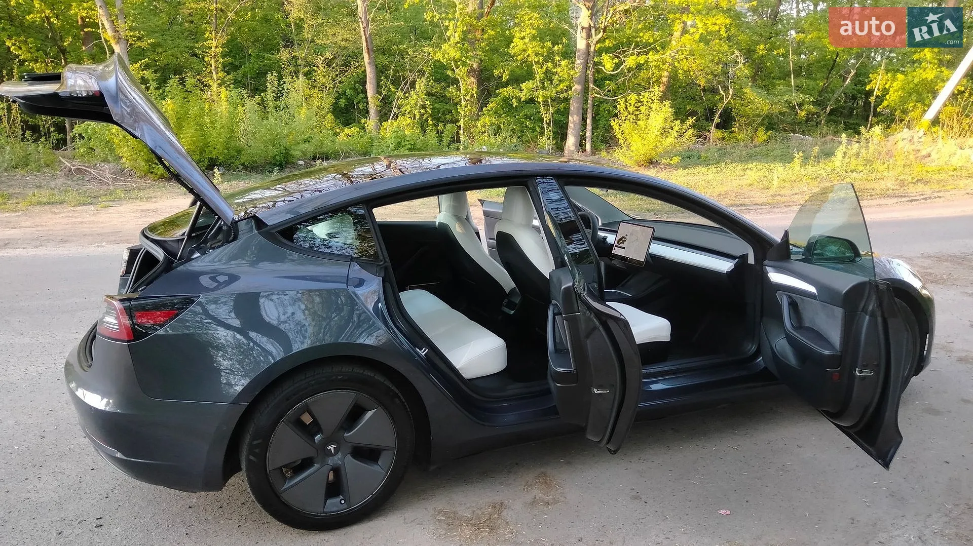 2021 Tesla Model 3 - мініатюра 7
