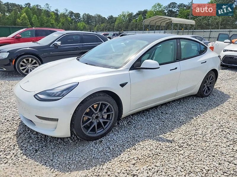 2021 Tesla Model 3, VIN 5YJ3E1EB8MF995908:plate — фото 1 (autoria)