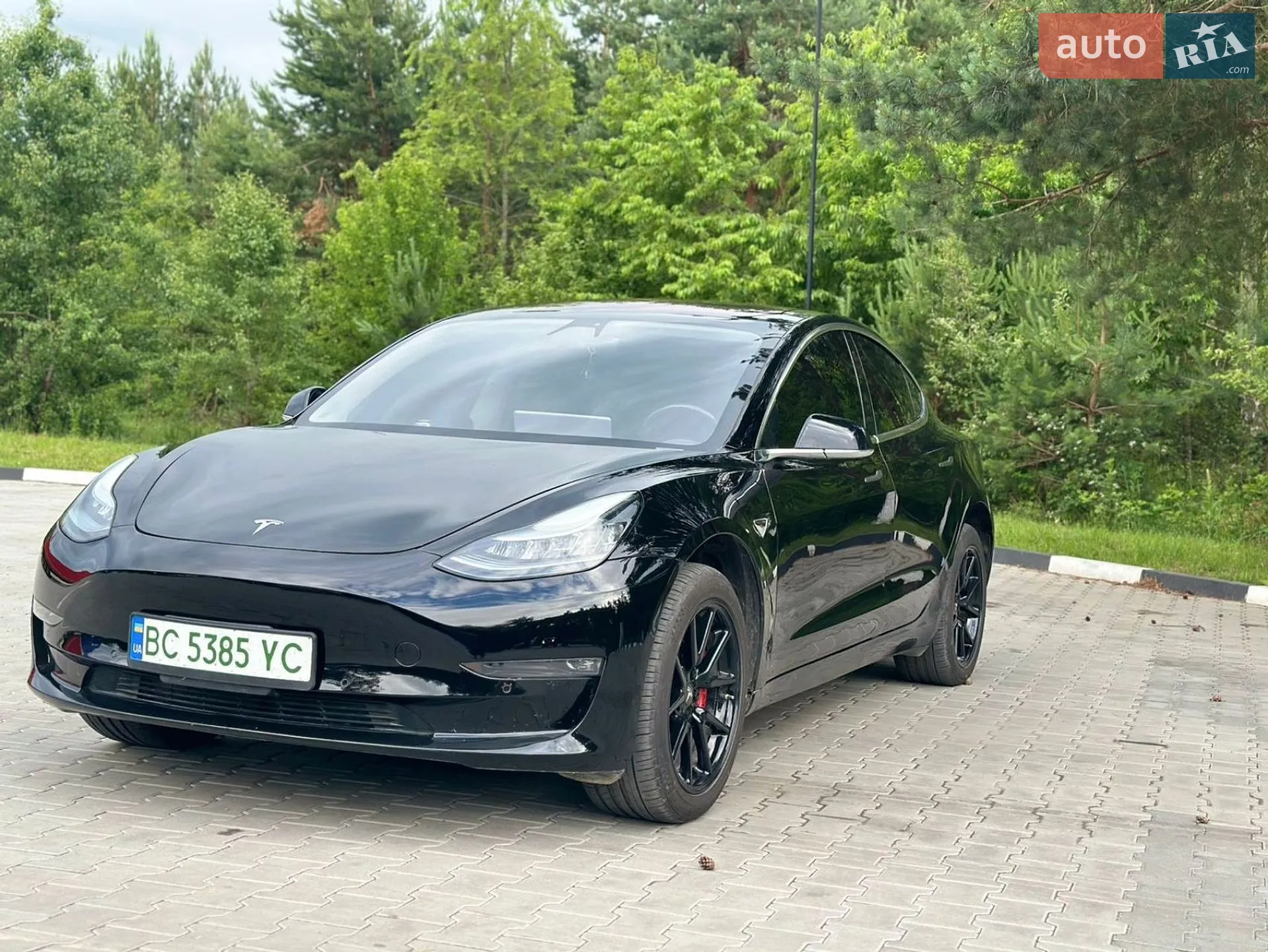 2018 Tesla Model 3 - мініатюра 9