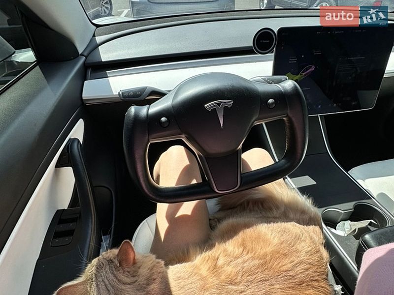 Седан Tesla Model 3 2019 в Луцьку
