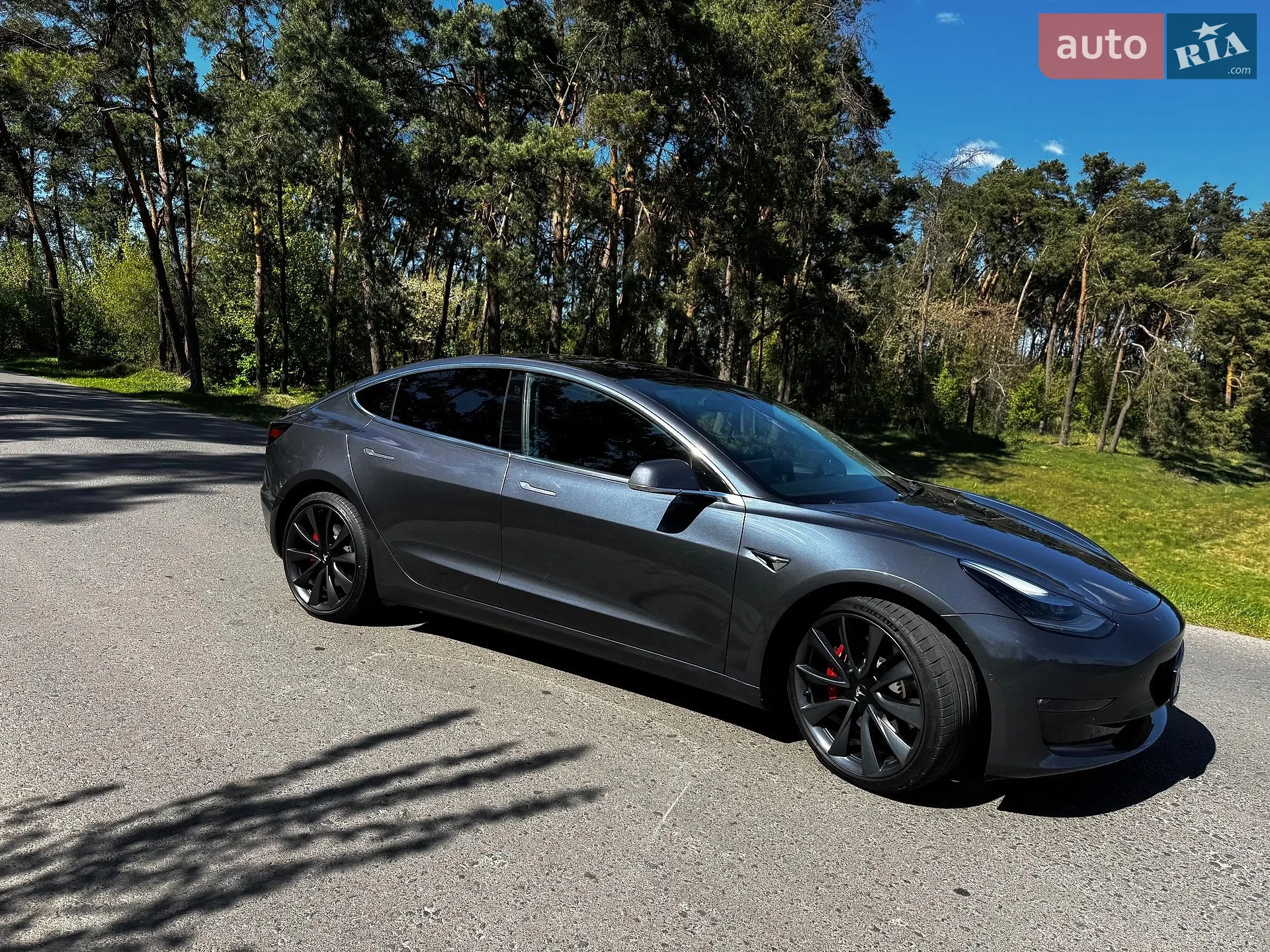 2019 Tesla Model 3 - фото 1