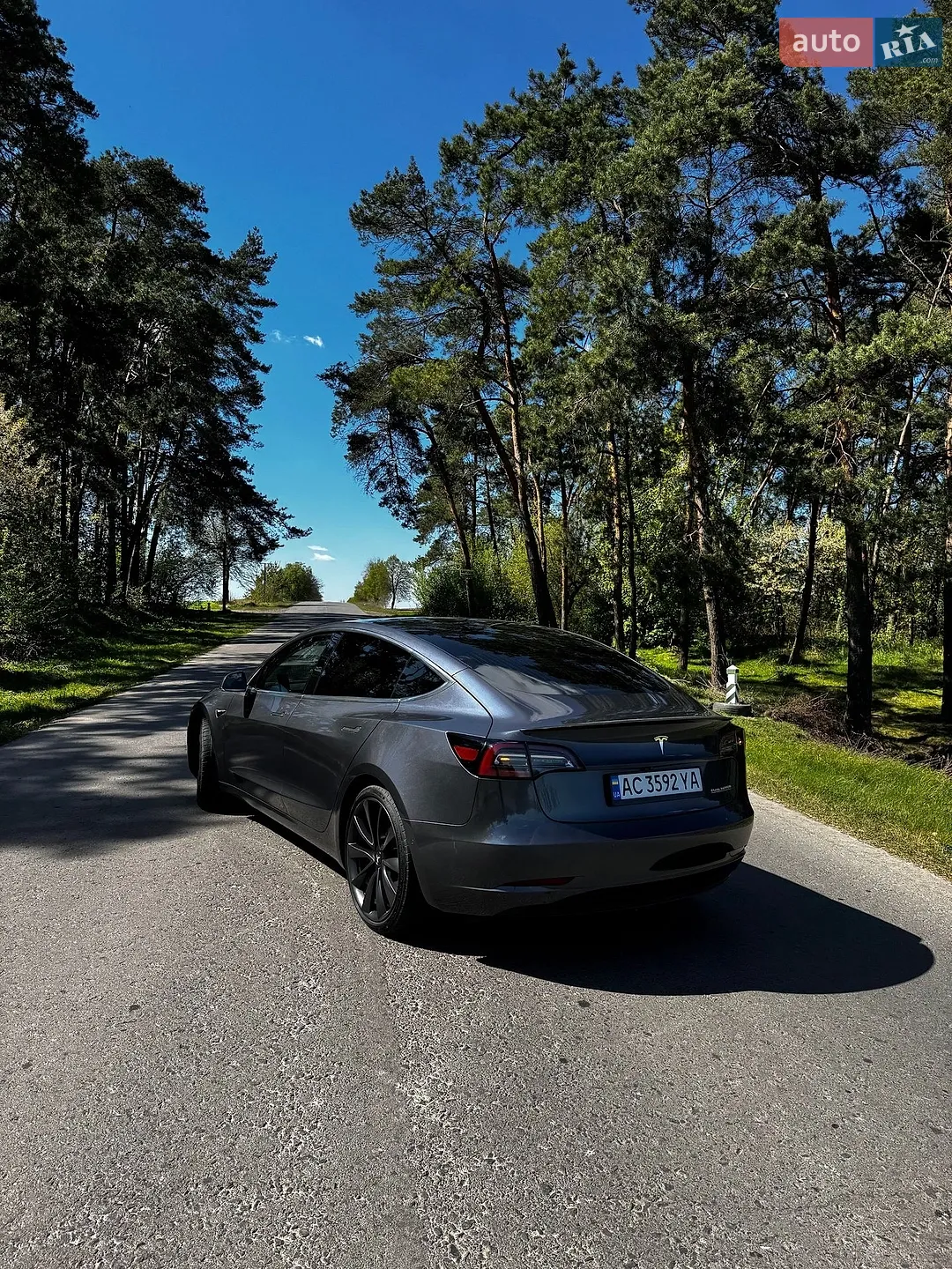 2019 Tesla Model 3 - мініатюра 16