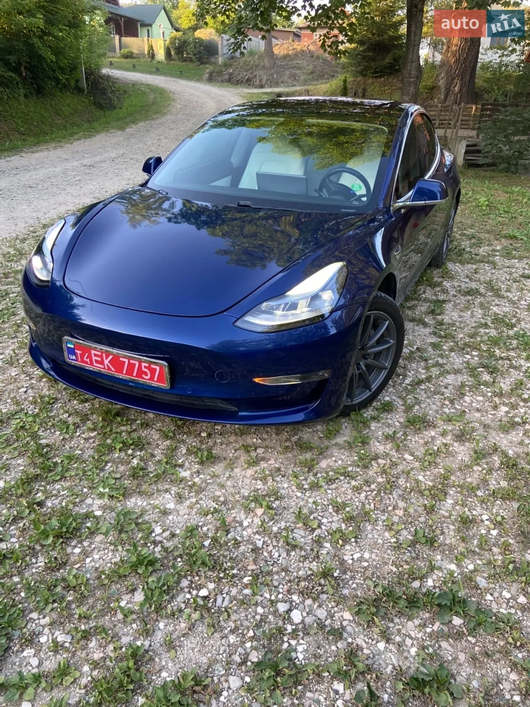 2019 Tesla Model 3 - мініатюра 2