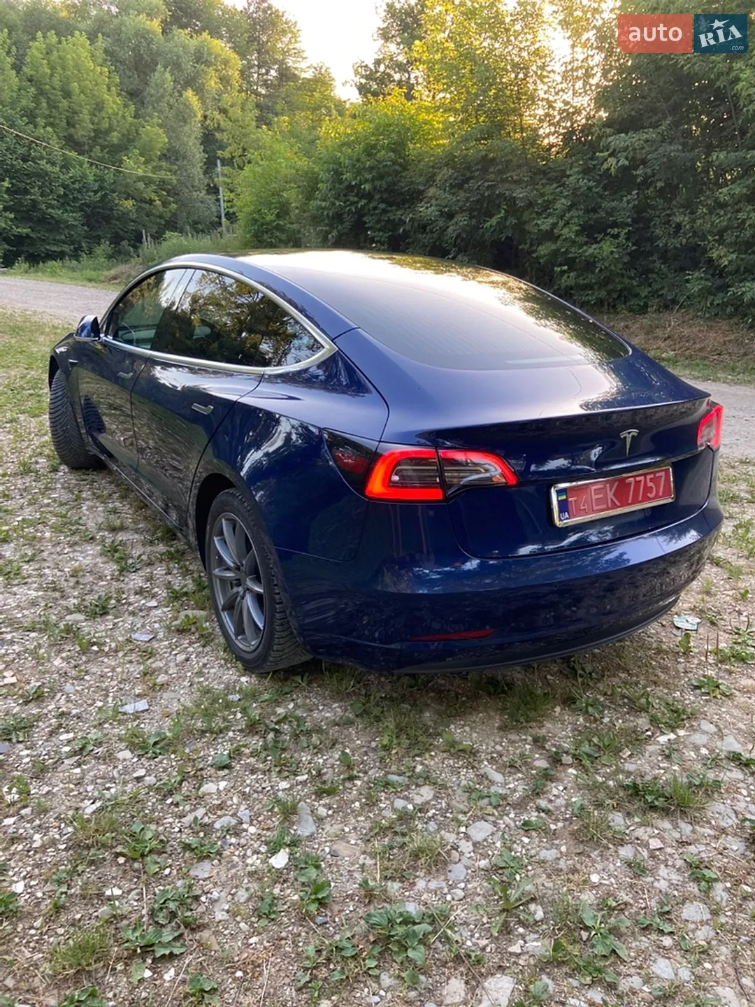 2019 Tesla Model 3 - мініатюра 6