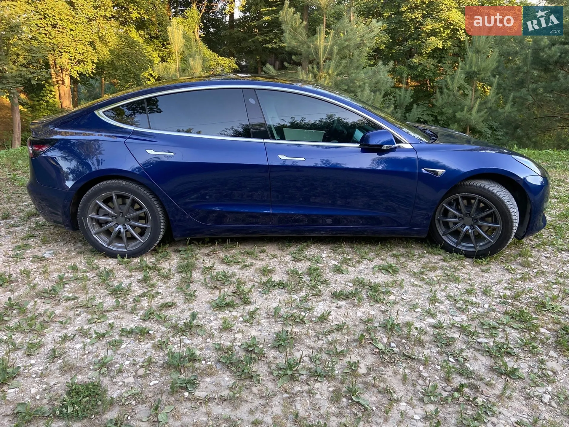 2019 Tesla Model 3 - мініатюра 8