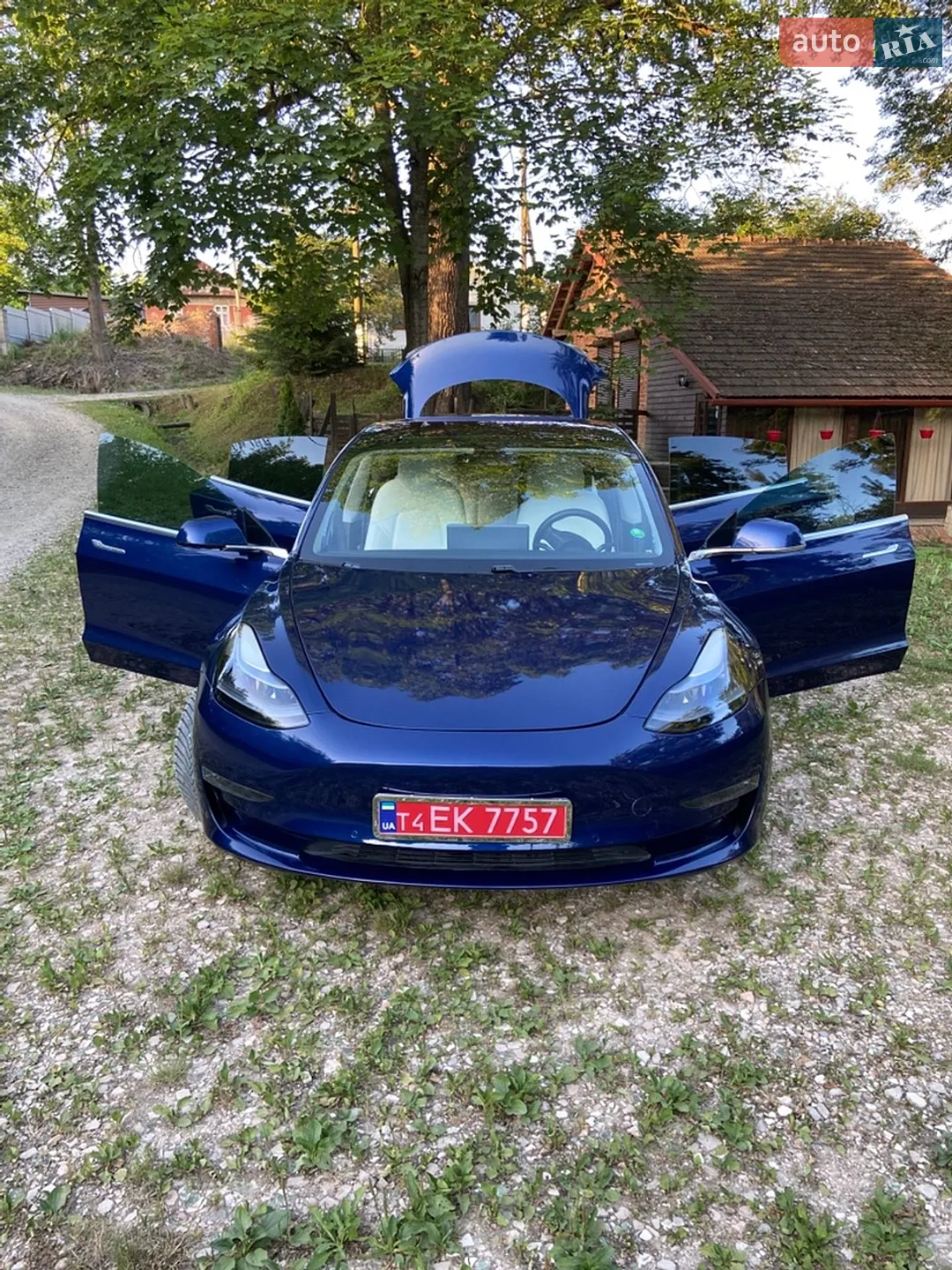 2019 Tesla Model 3 - мініатюра 3