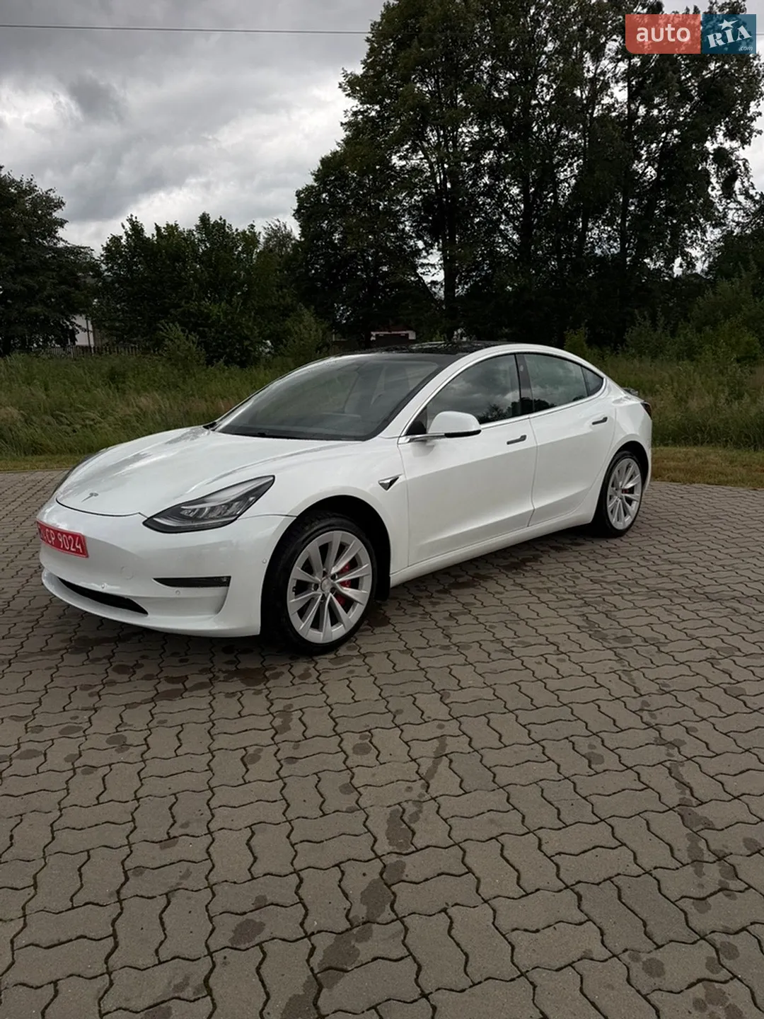 2019 Tesla Model 3 - мініатюра 3