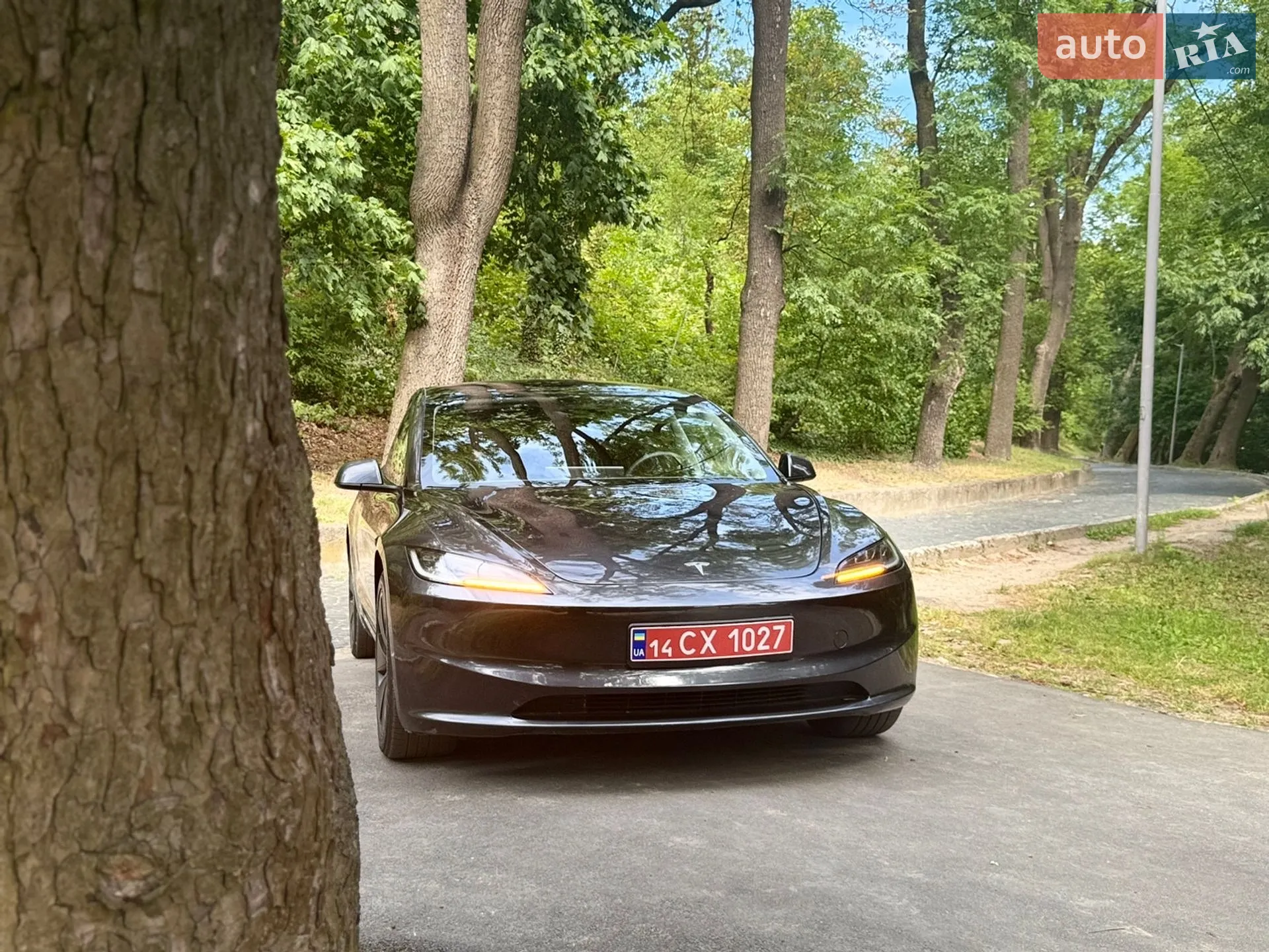2025 Tesla Model 3 - мініатюра 6