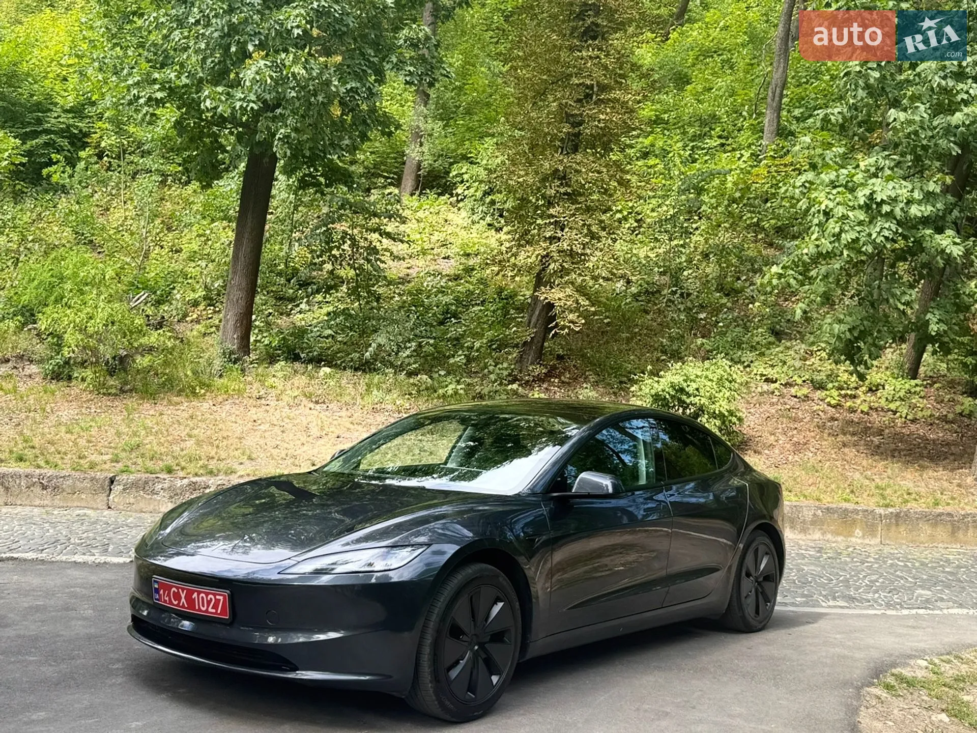 2025 Tesla Model 3 - мініатюра 7
