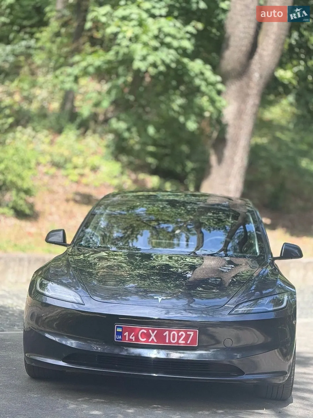 2025 Tesla Model 3 - мініатюра 11