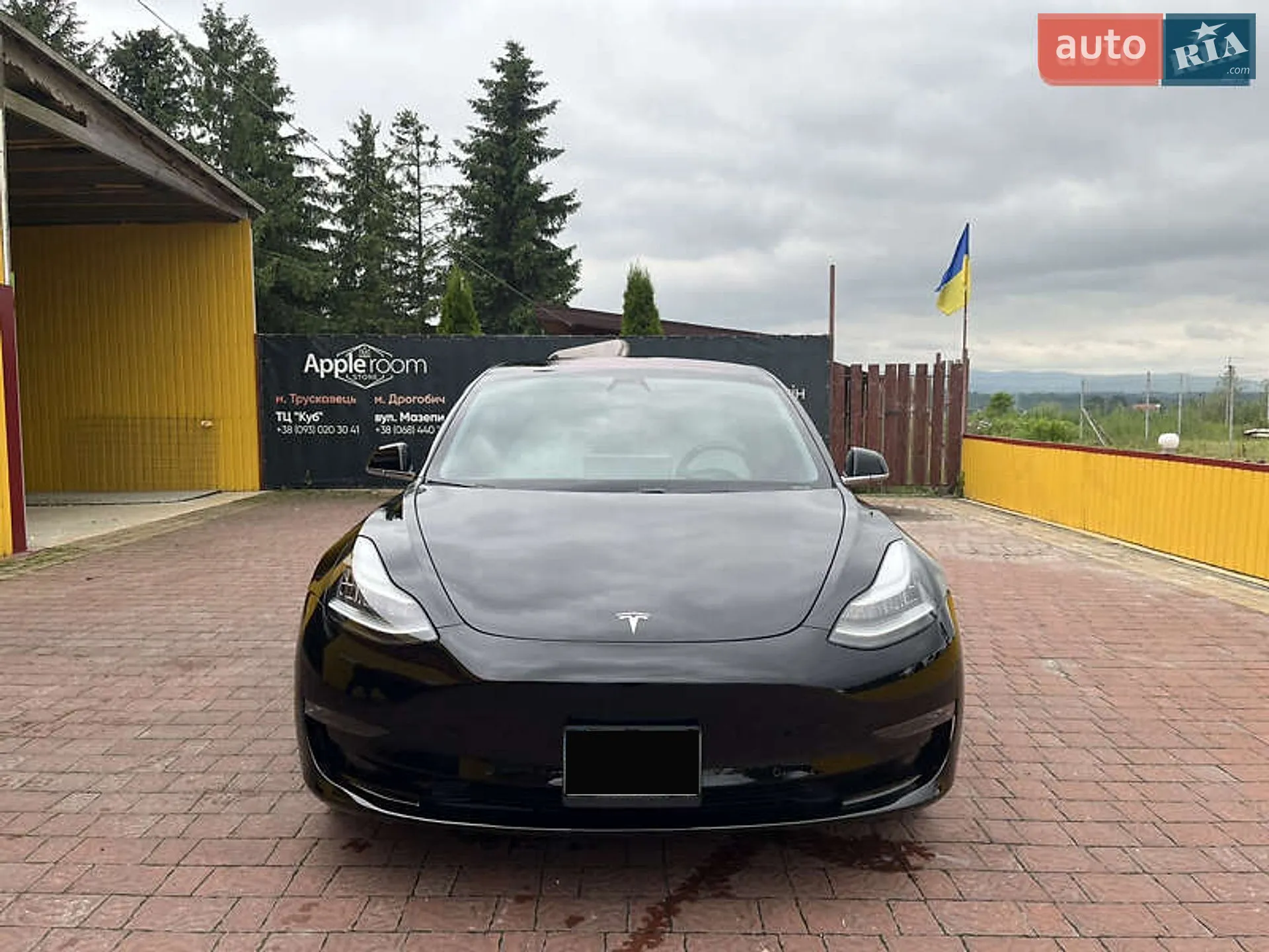 2019 Tesla Model 3 - мініатюра 21