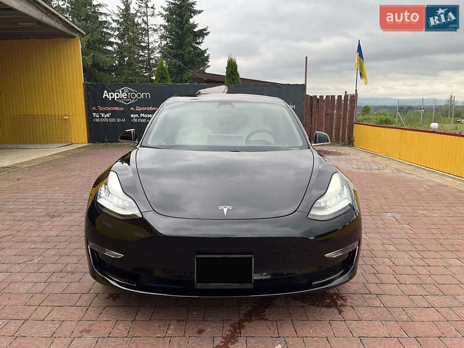 2019 Tesla Model 3 - мініатюра 22
