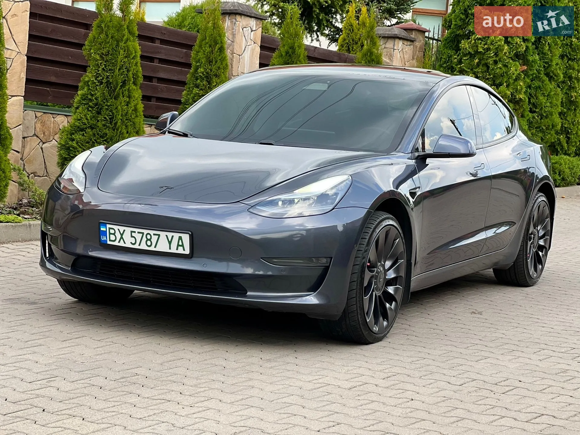 2021 Tesla Model 3 - мініатюра 3