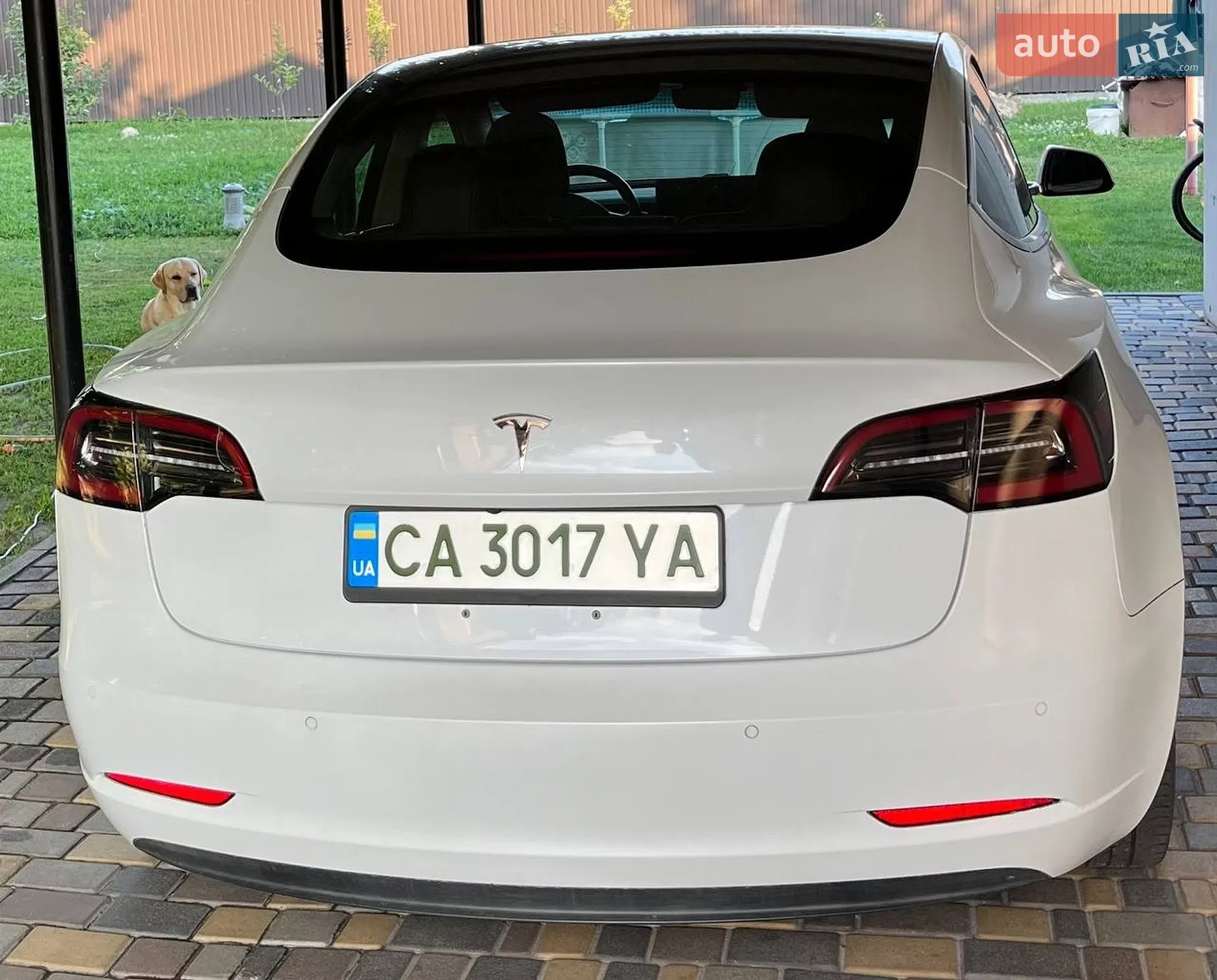 2018 Tesla Model 3 - мініатюра 3