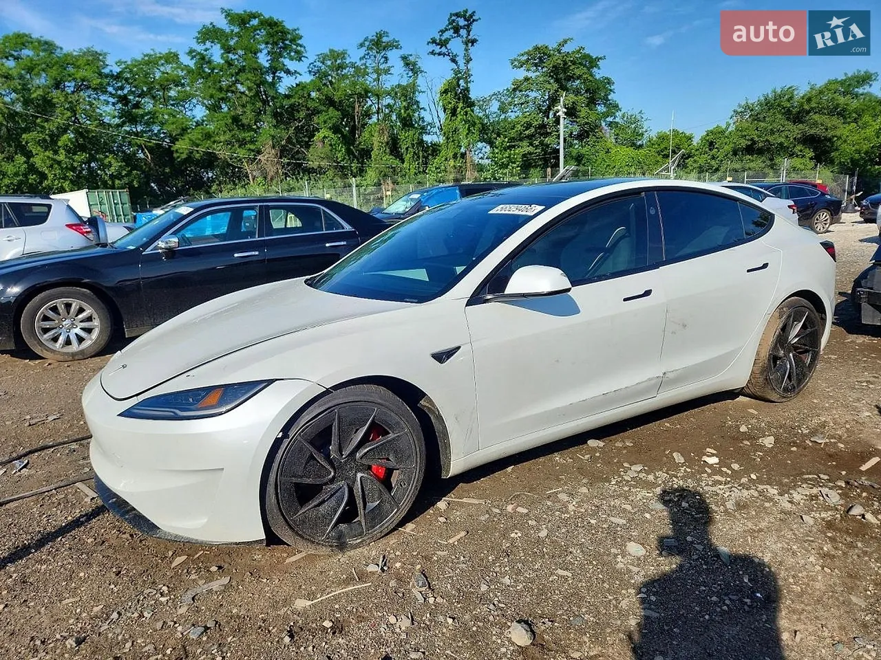 2023 Tesla Model Y - мініатюра 13