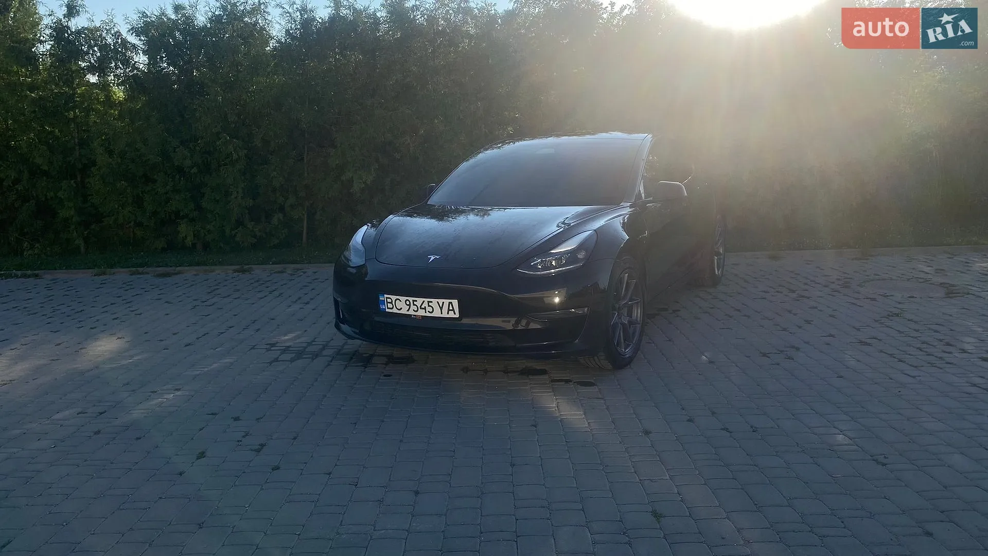 2021 Tesla Model 3 - мініатюра 9