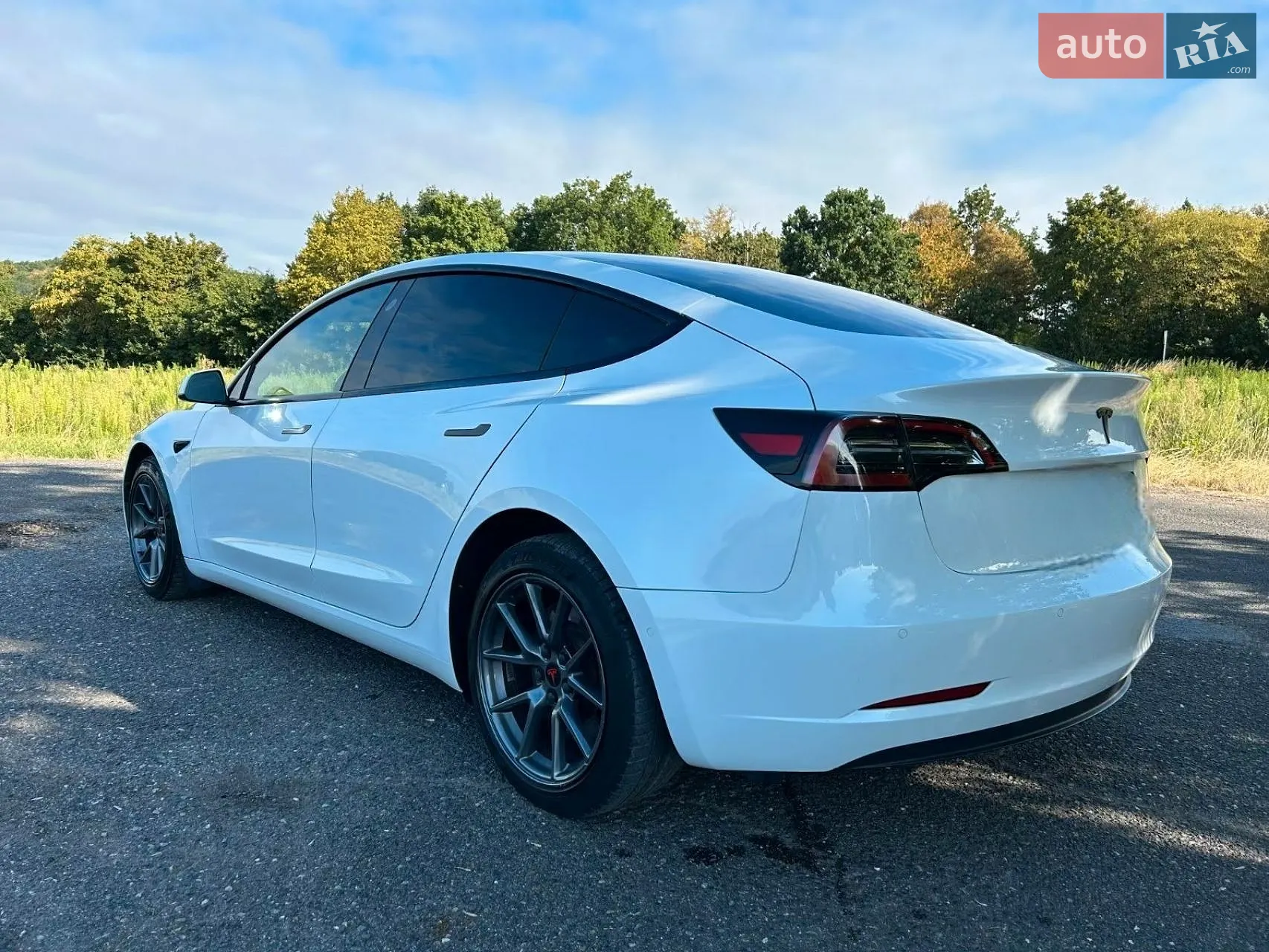 2022 Tesla Model 3 - мініатюра 3