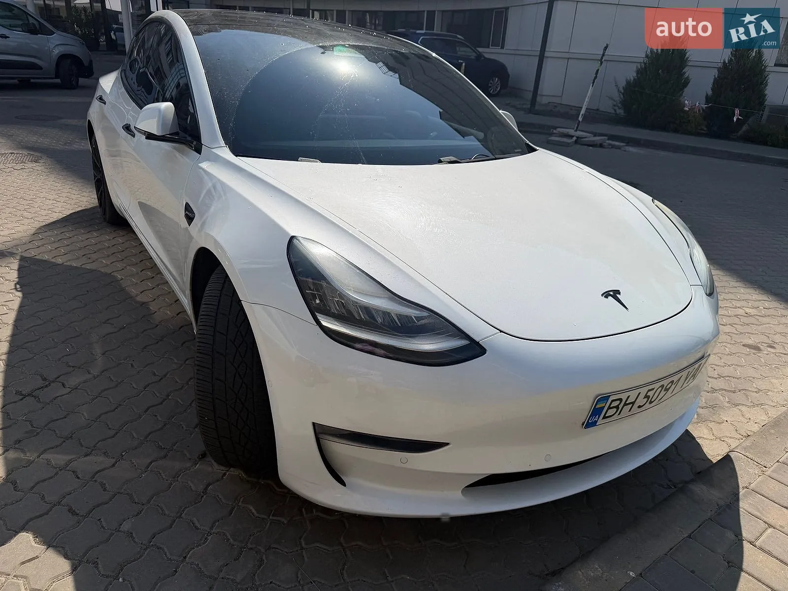 2019 Tesla Model 3 - фото 1