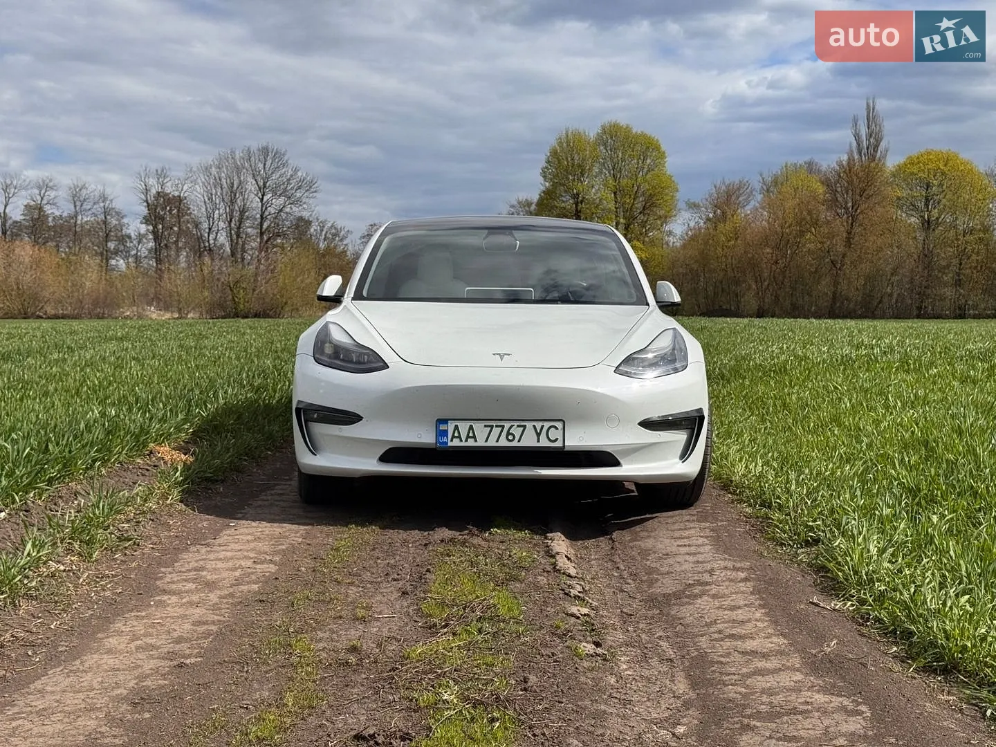 2022 Tesla Model 3 - мініатюра 7