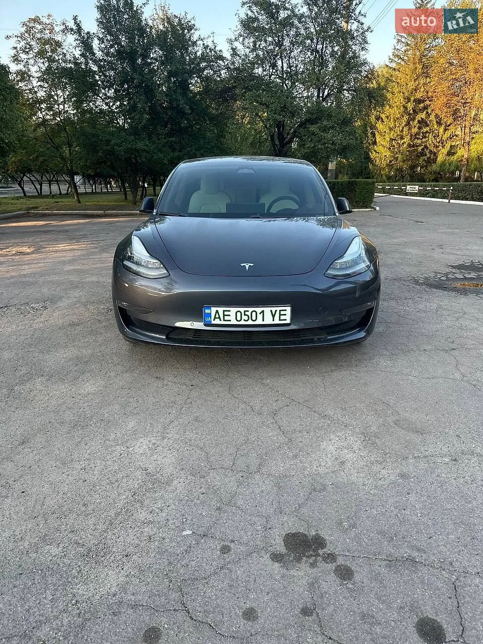 2020 Tesla Model 3 - мініатюра 2