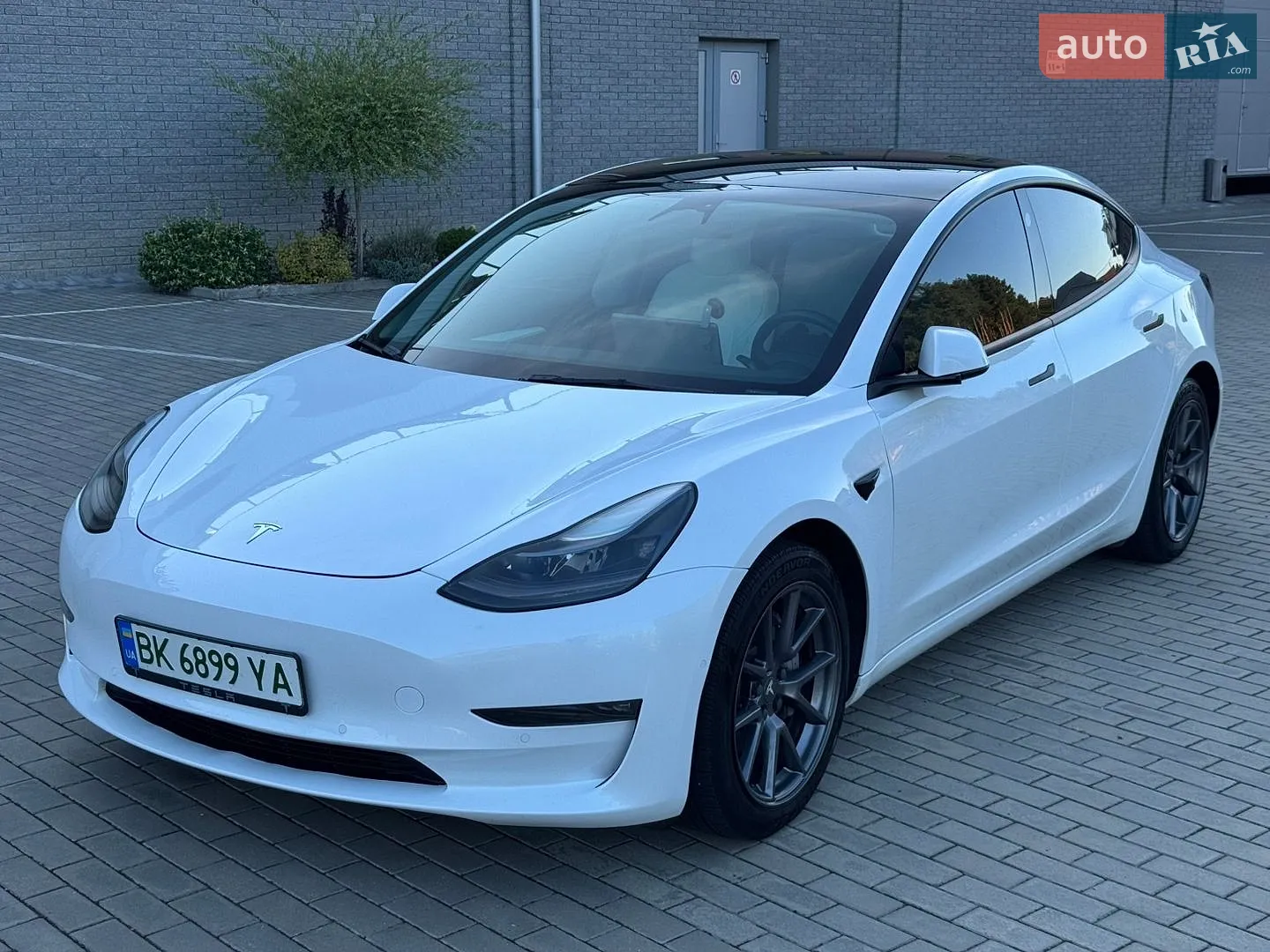 2021 Tesla Model 3 - фото 1