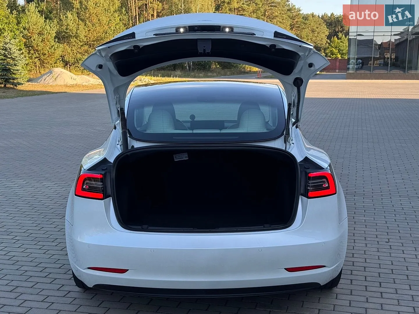 2021 Tesla Model 3 - мініатюра 31