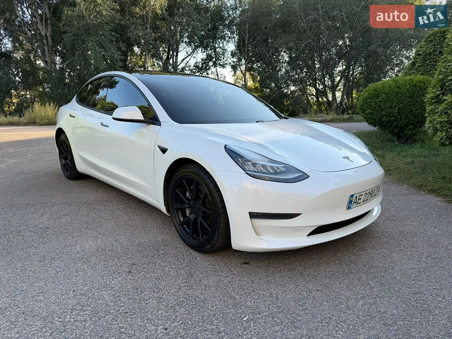 2019 Tesla Model 3 - мініатюра 6