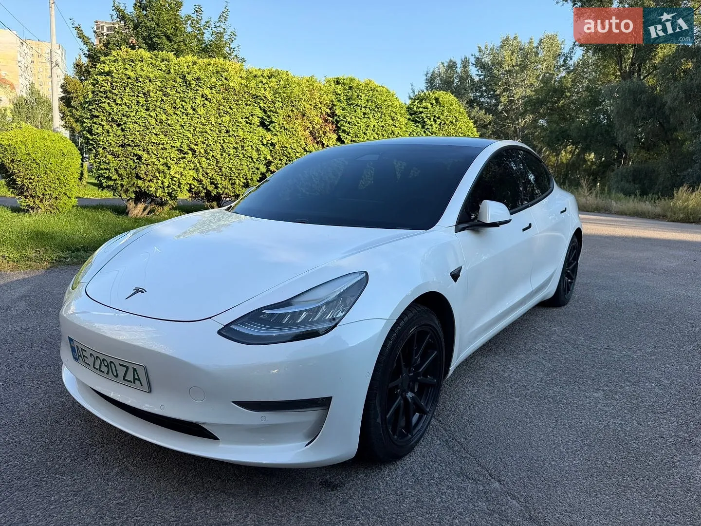 2019 Tesla Model 3 - мініатюра 2