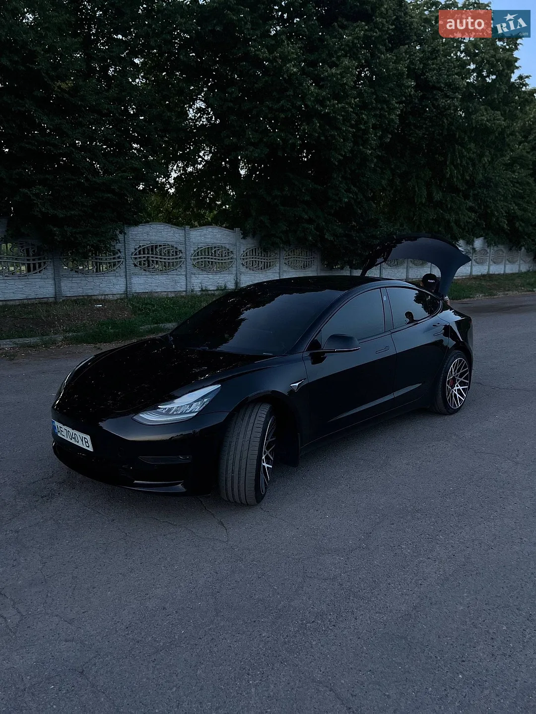 2019 Tesla Model 3 - мініатюра 2