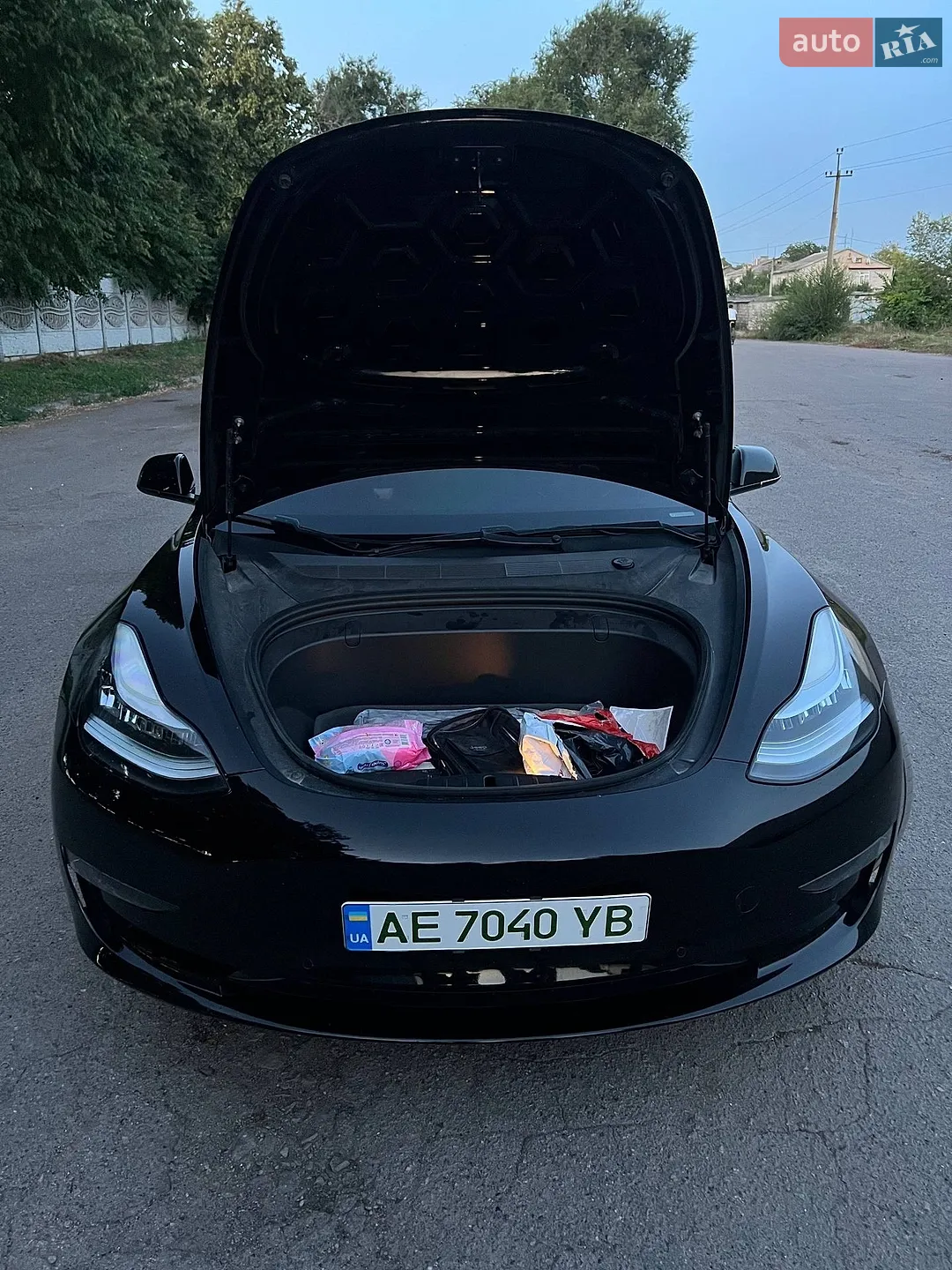 2019 Tesla Model 3 - мініатюра 6