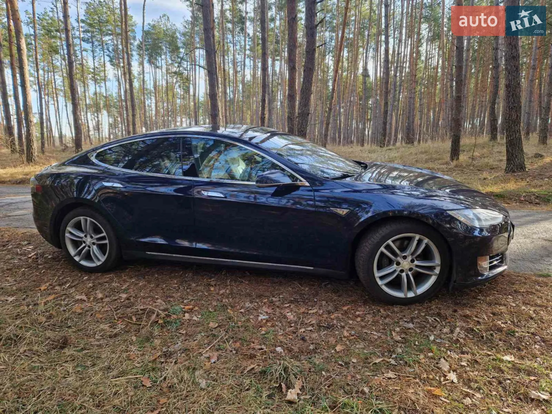 2013 Tesla Model S - фото 1