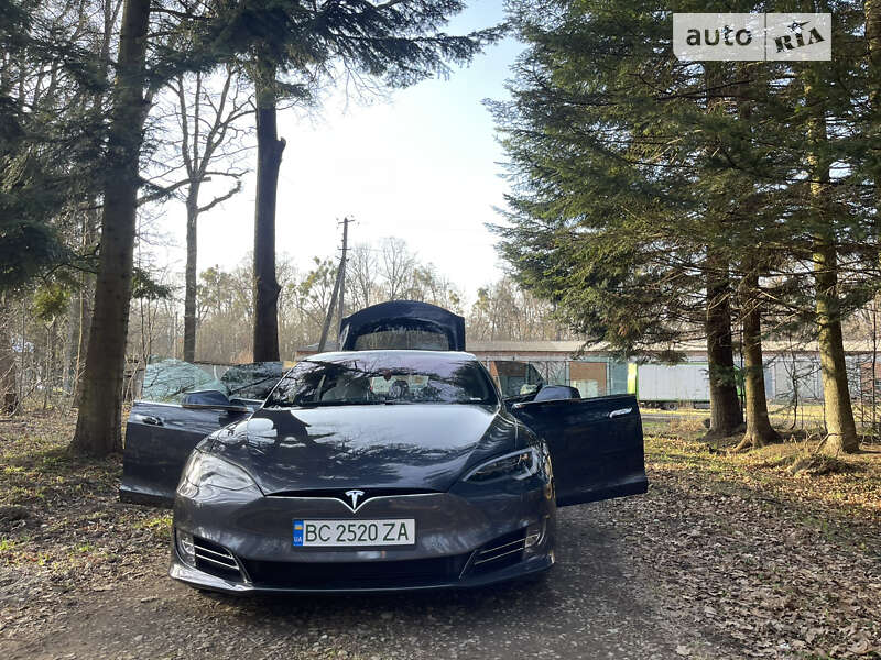 Ліфтбек Tesla Model S 2019 в Стрию