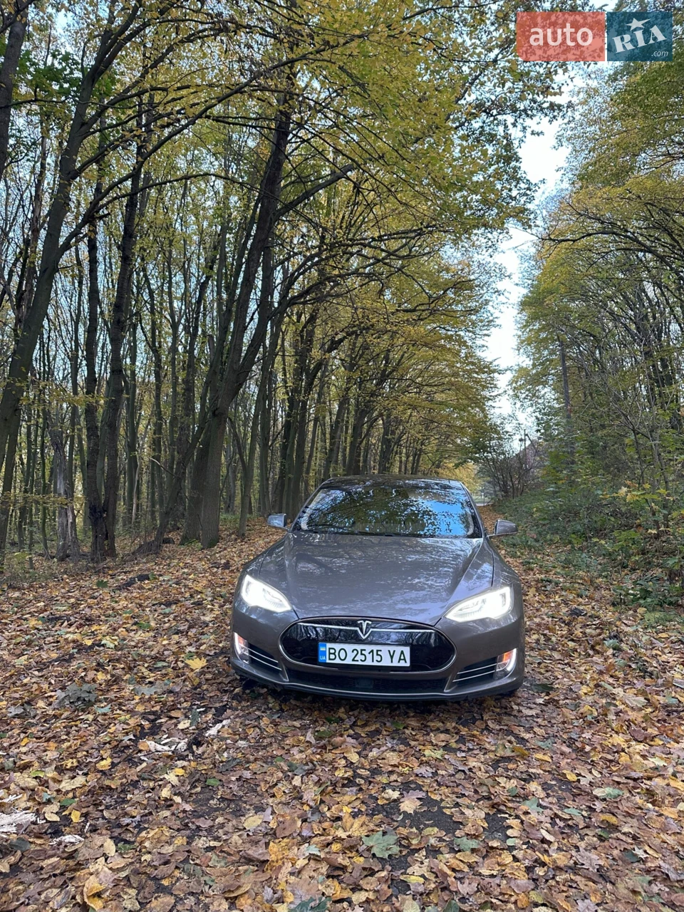 2015 Tesla Model S - мініатюра 33