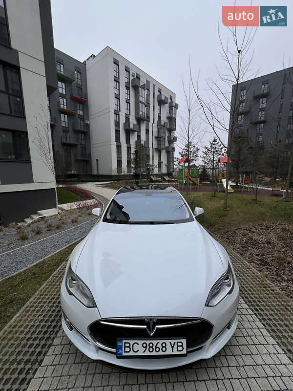 Ліфтбек Tesla Model S 2013 в Пустомитах